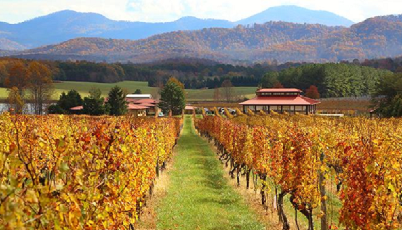 Virginia is for Wine Lovers: A Road Trip Across Virginia Wine Country