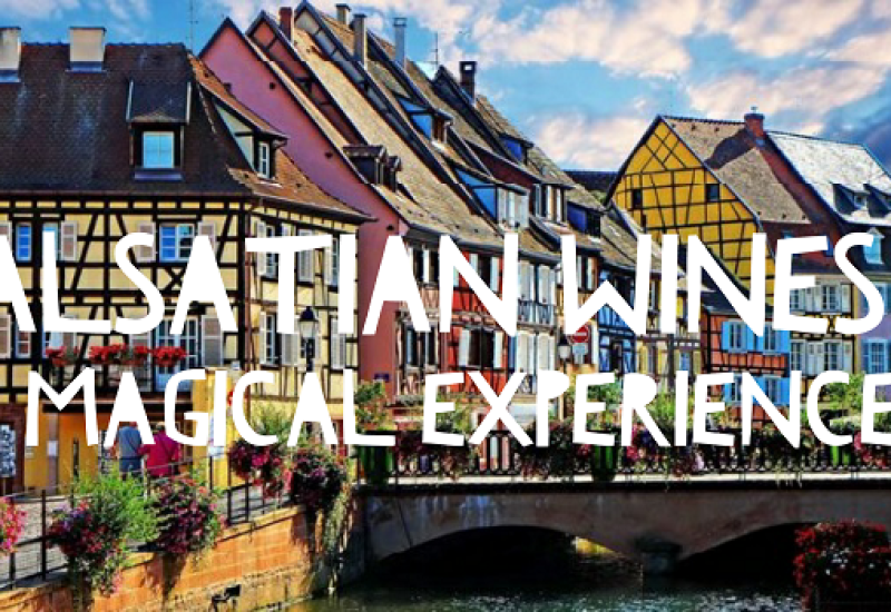Wines of Alsace