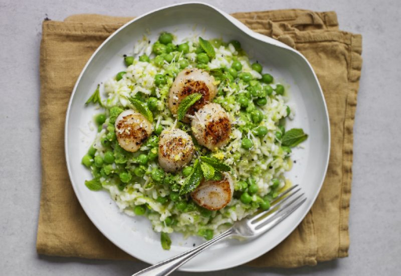 Scallop Risotto Recipe